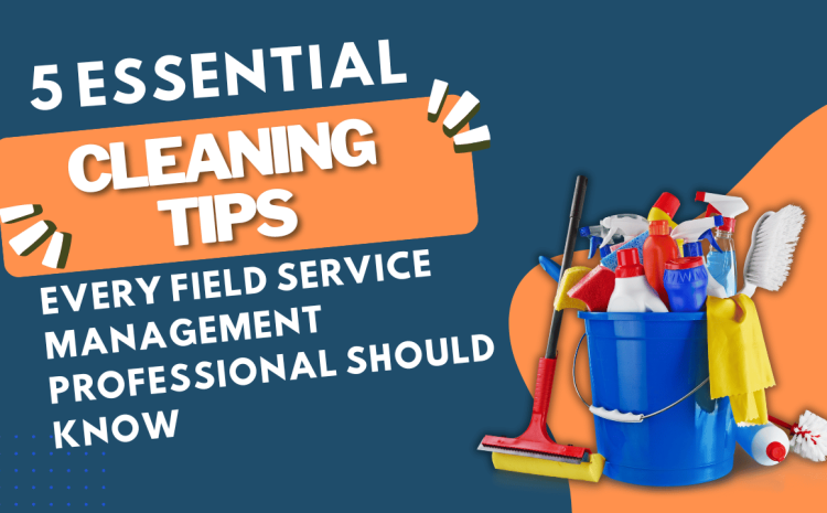  Guide to Professional Cleaning Services